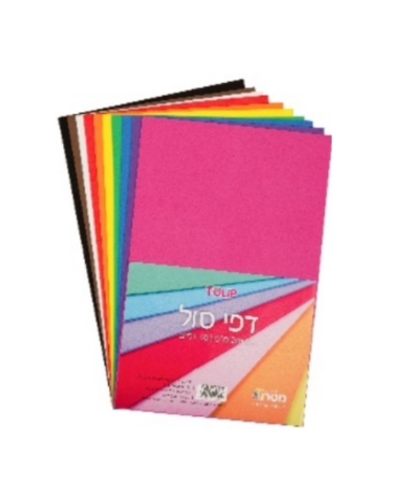 חבילת חוצץ סול בגודל 20X30 - (ארוז 10)