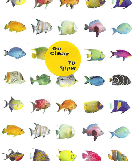 דגים רקע שקוף