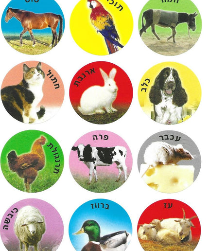 תמונות - חיות בית