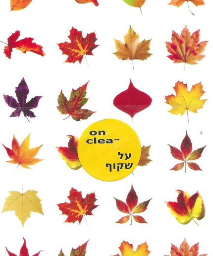 שלכת רקע שקוף