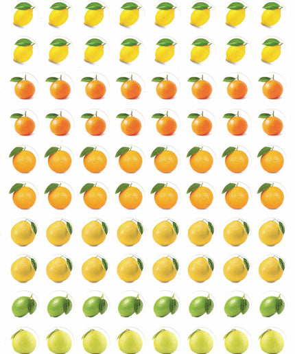 פירות הדר - 10 דפים