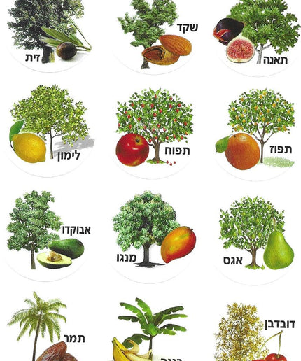 ט"ו בשבט - עץ ופרותיו