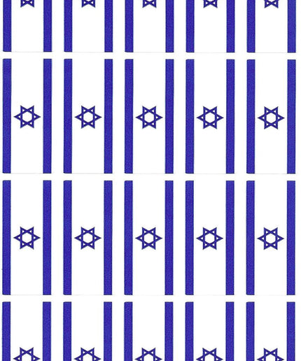 דגל ישראל קטן